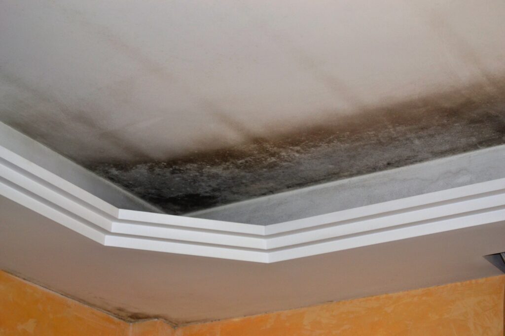 renters insurance cover water damage to ceiling