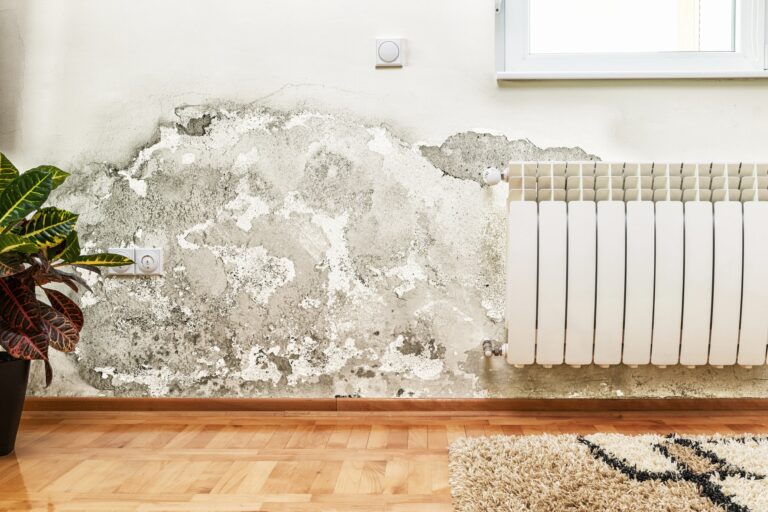 renters insurance cover water damage