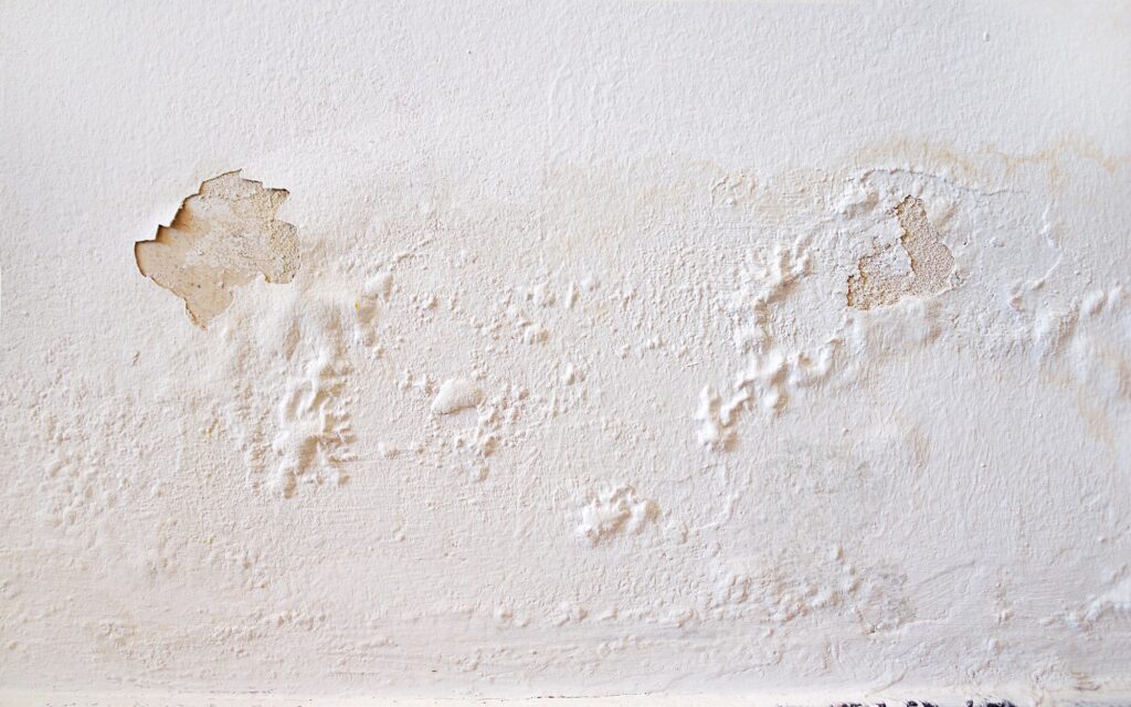 water damage on wall