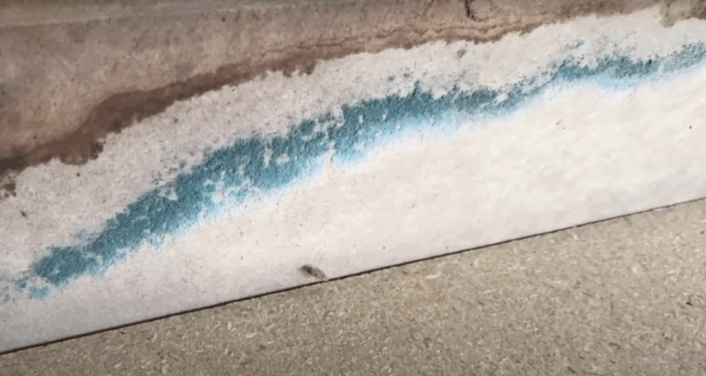 Mold after water damage