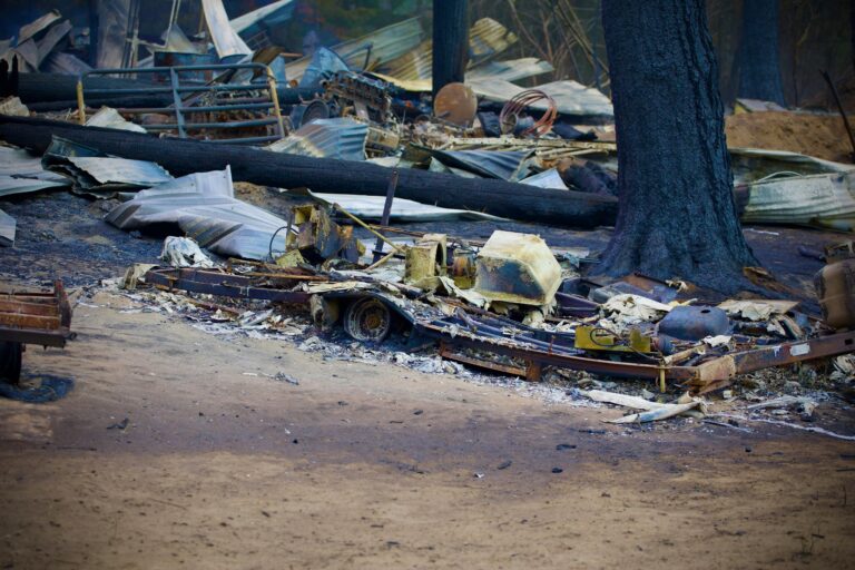 debris cleanup