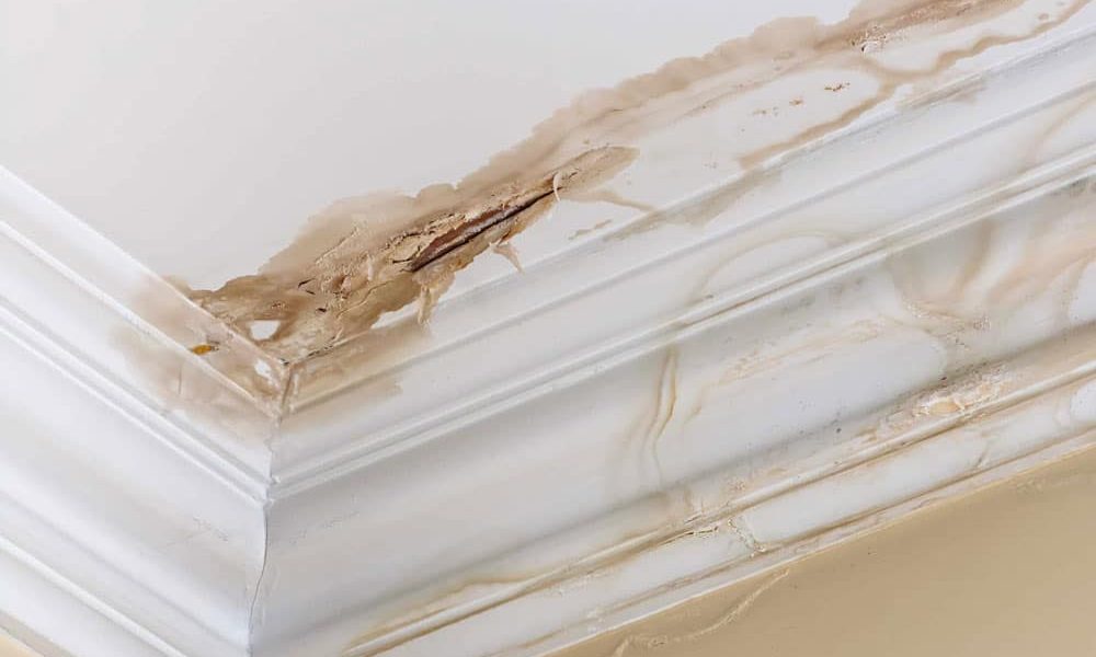 White ceiling corner with brown stains and water damage