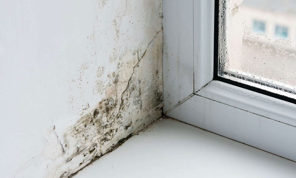 Mold in the corner of the plastic windows